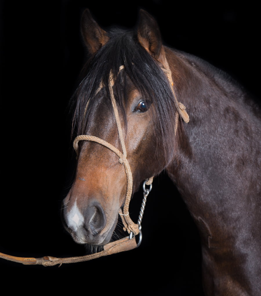 Lote PORA HISTORIETA