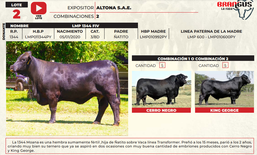 Lote LOTE 2
