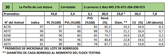 Lote 5 carneros 2 dtes MO 276-072-268-290-073