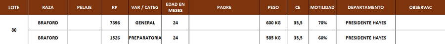 Lote LOTE 80- POR PANTALLA