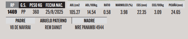 Lote LOTE 35
