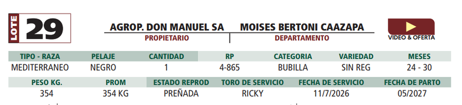 Lote LOTE 29