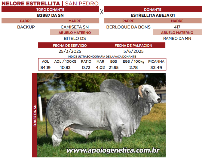 Lote LOTE 40