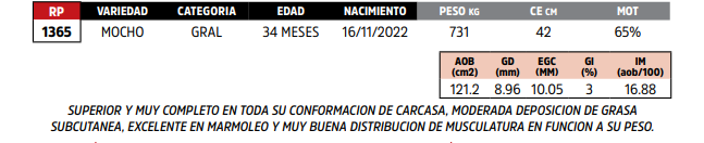 Lote LOTE 58