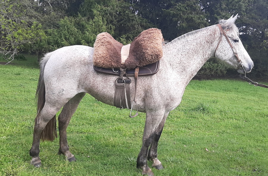 Lote Berachi Abanada (RP 528) - Cabaña Berachi