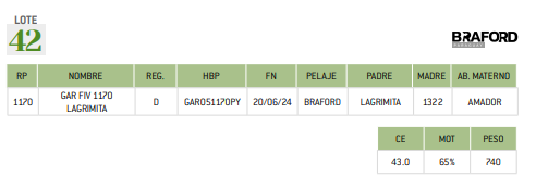 Lote LOTE 42