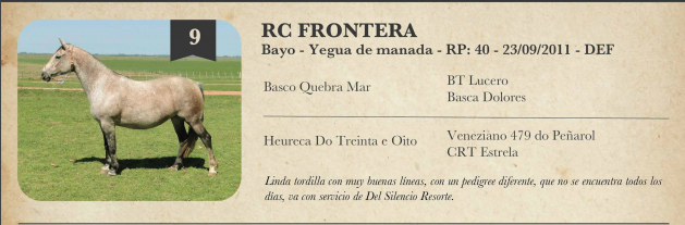 Lote Criollos da Fronteira La Cañada RC Frontera RP: 40