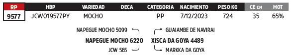 Lote LOTE 86