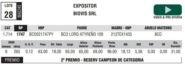 Lote LOTE 28