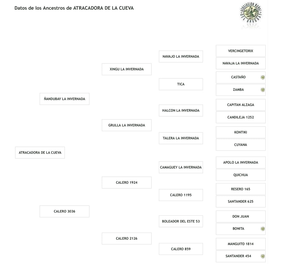 Lote Cabaña "La Cueva" - RP 163 - Atracadora de la Cueva