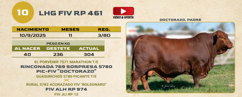 Lote LOTE 10