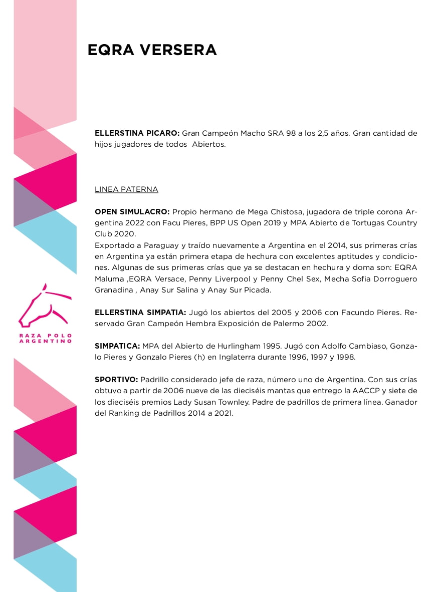 Lote EQRA VERSERA (OPEN SIMULACRO - OPEN VERTEBRA)