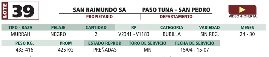 Lote LOTE 39