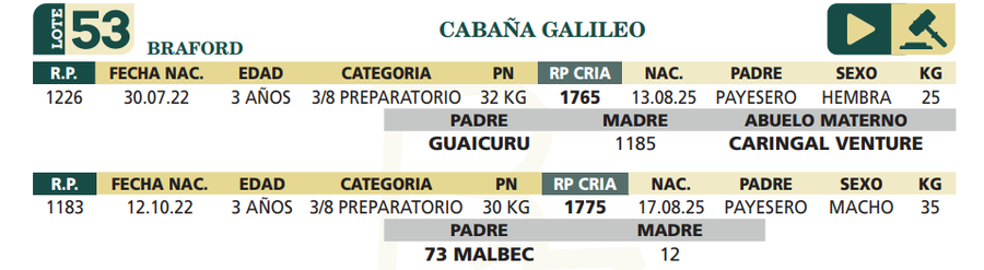 Lote LOTE 53