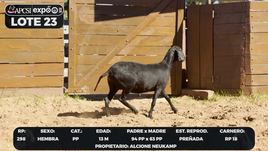Lote LOTE 23 - CAMPO