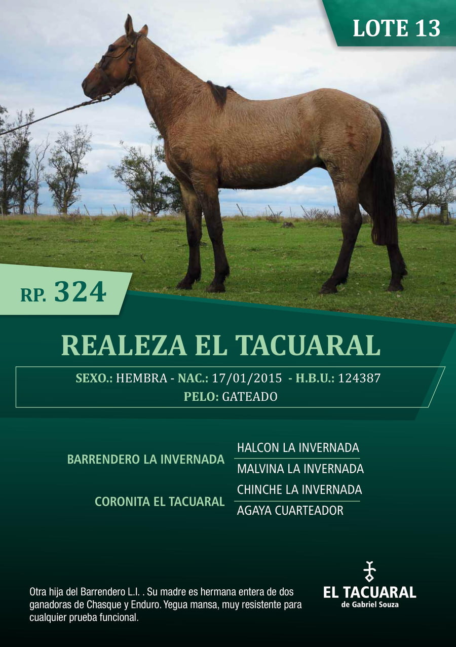 Lote REALEZA EL TACUARAL - R.P. 324