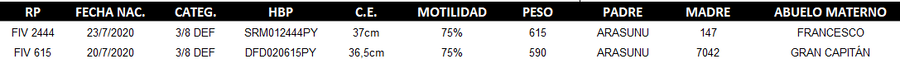 Lote LOTE 47 - DUO
