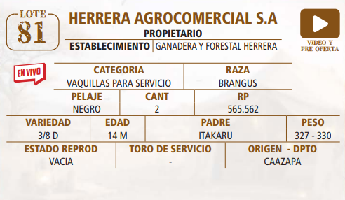 Lote LOTE 81 -EN VIVO