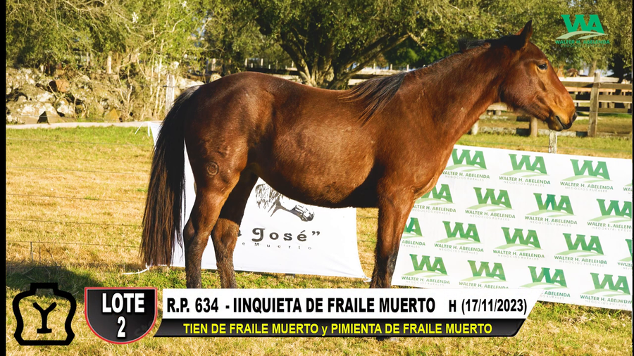 Lote IINQUIETA DE FRAILE MUERTO