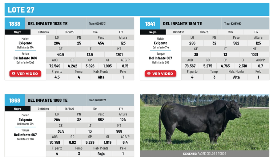 Lote Lote 27