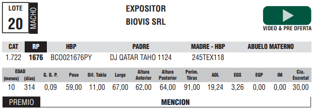 Lote LOTE 20