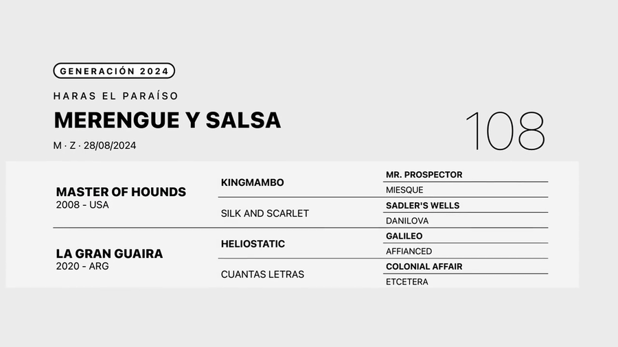 Lote MERENGUE Y SALSA