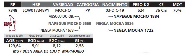 Lote LOTE 52