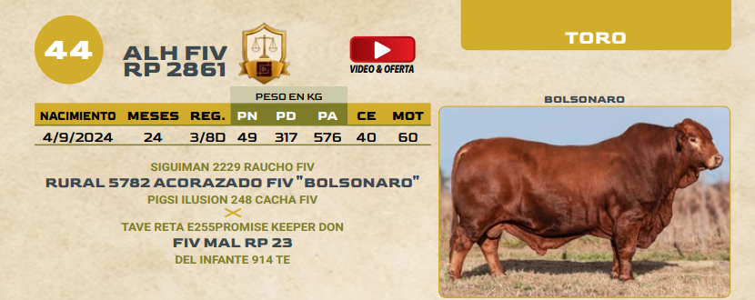 Lote LOTE 44