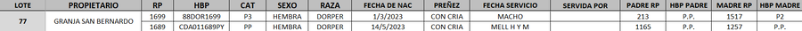 Lote LOTE 77