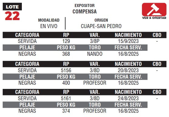 Lote LOTE 22- EN VIVO
