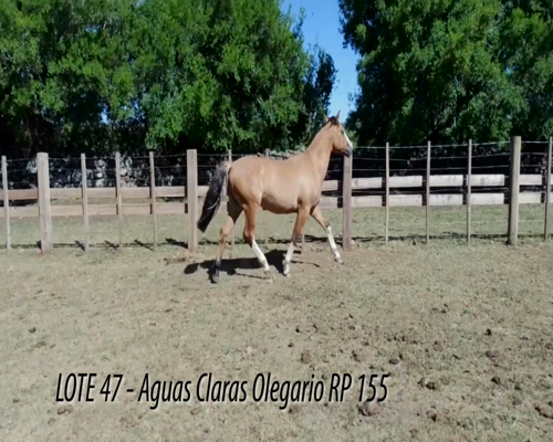 Lote AGUAS CLARAS OLEGARIO