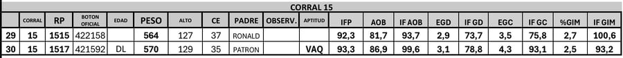 Lote 2 Toros PC