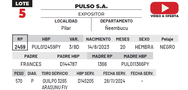 Lote LOTE 5