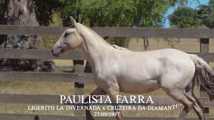 Lote Paulista Farra