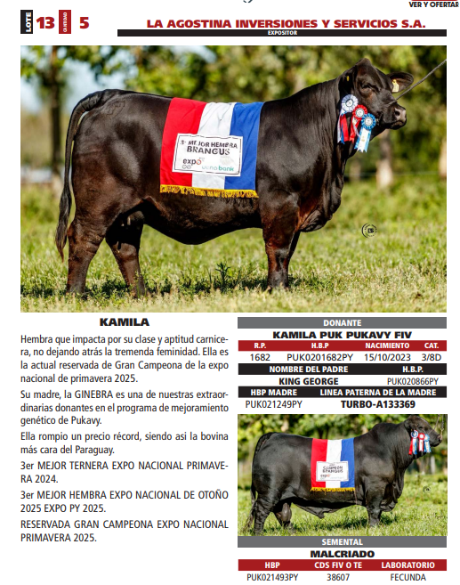 Lote LOTE 13