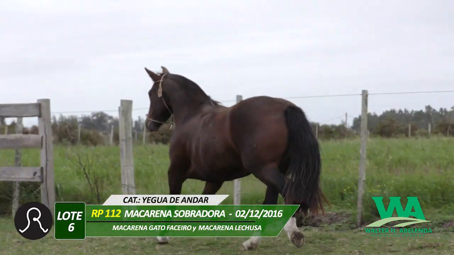 Lote MACARENA SOBRADORA