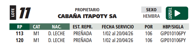 Lote LOTE 11
