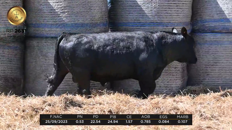 Lote LA SANTINA ENGAGE 2236-2631