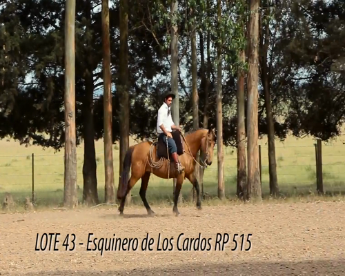 Lote ESQUINERO DE LOS CARDOS