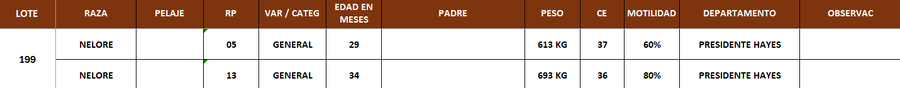 Lote LOTE 199 - POR PANTALLA