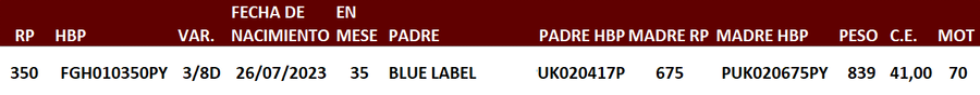Lote LOTE 41