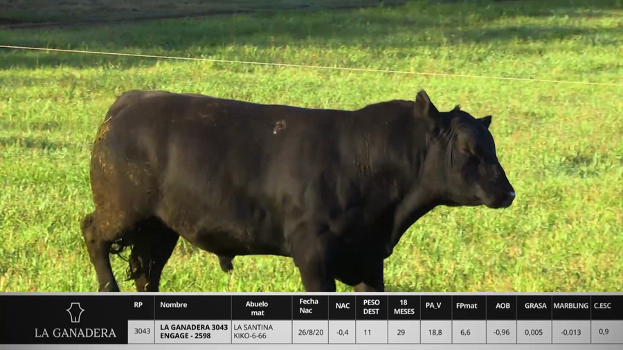 Lote LA GANADERA 3043 ENGAGE - 2598