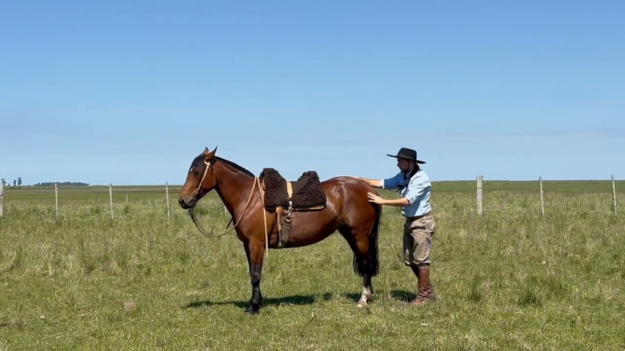 Lote APUESTA LAS CANTERAS