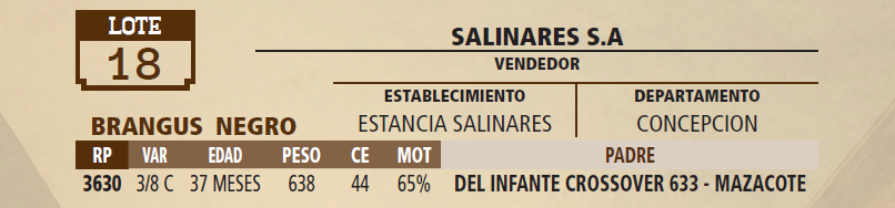 Lote LOTE 18 - PANTALLA