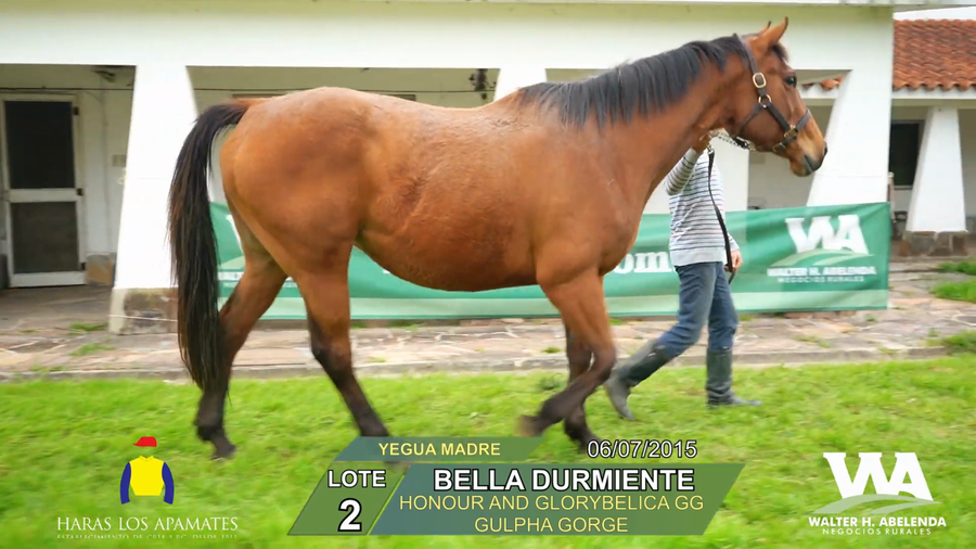 Lote BELLA DURMIENTE