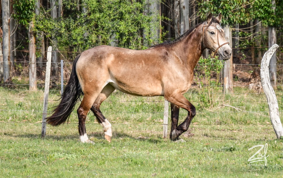Lote Esperanza Ñaquiñá