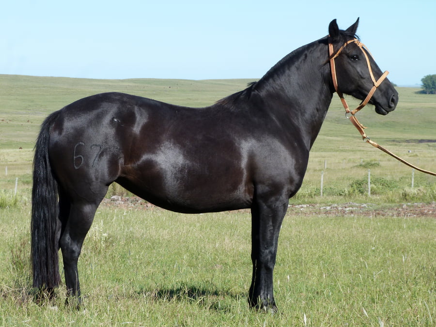 Lote Querencia del Cerro Grande