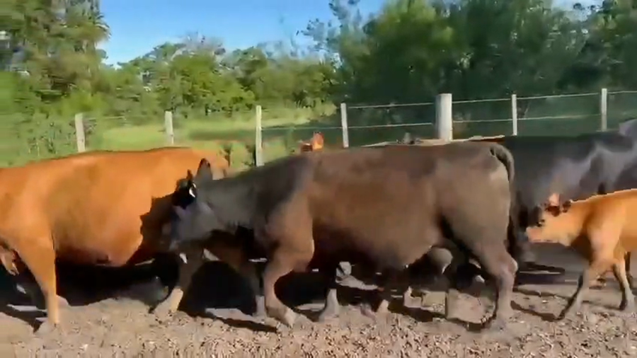 Lote 26AL CTE NUEVAS