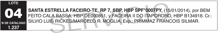 Lote LOTE 4