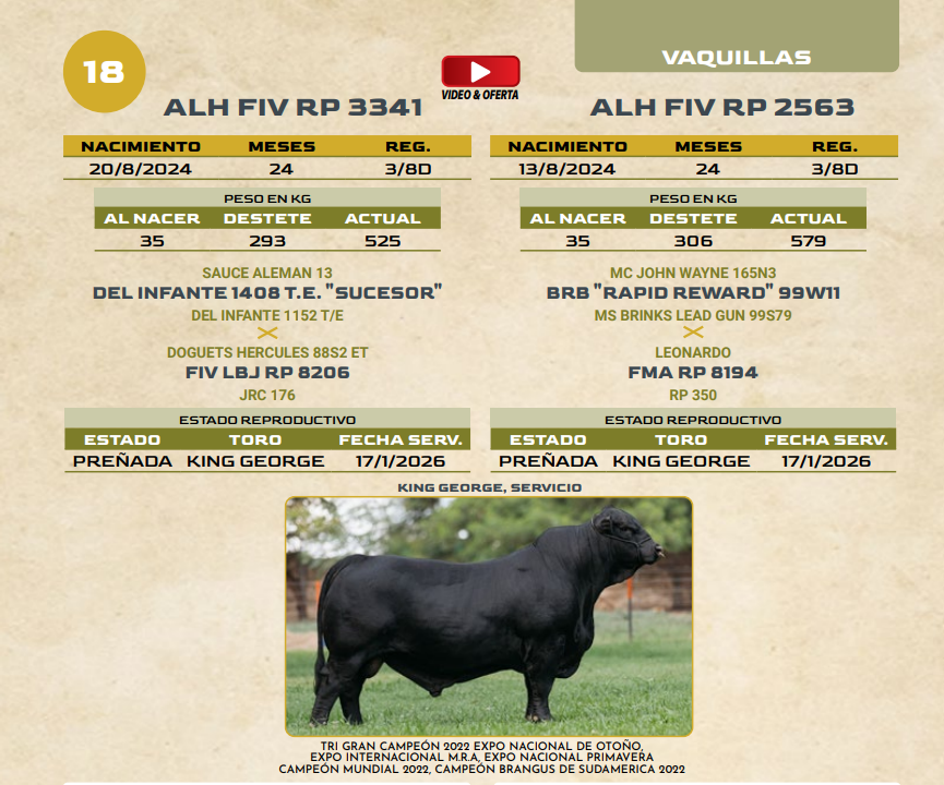 Lote LOTE 18